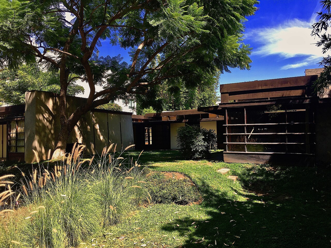 Schindler House garden, West Hollywood
