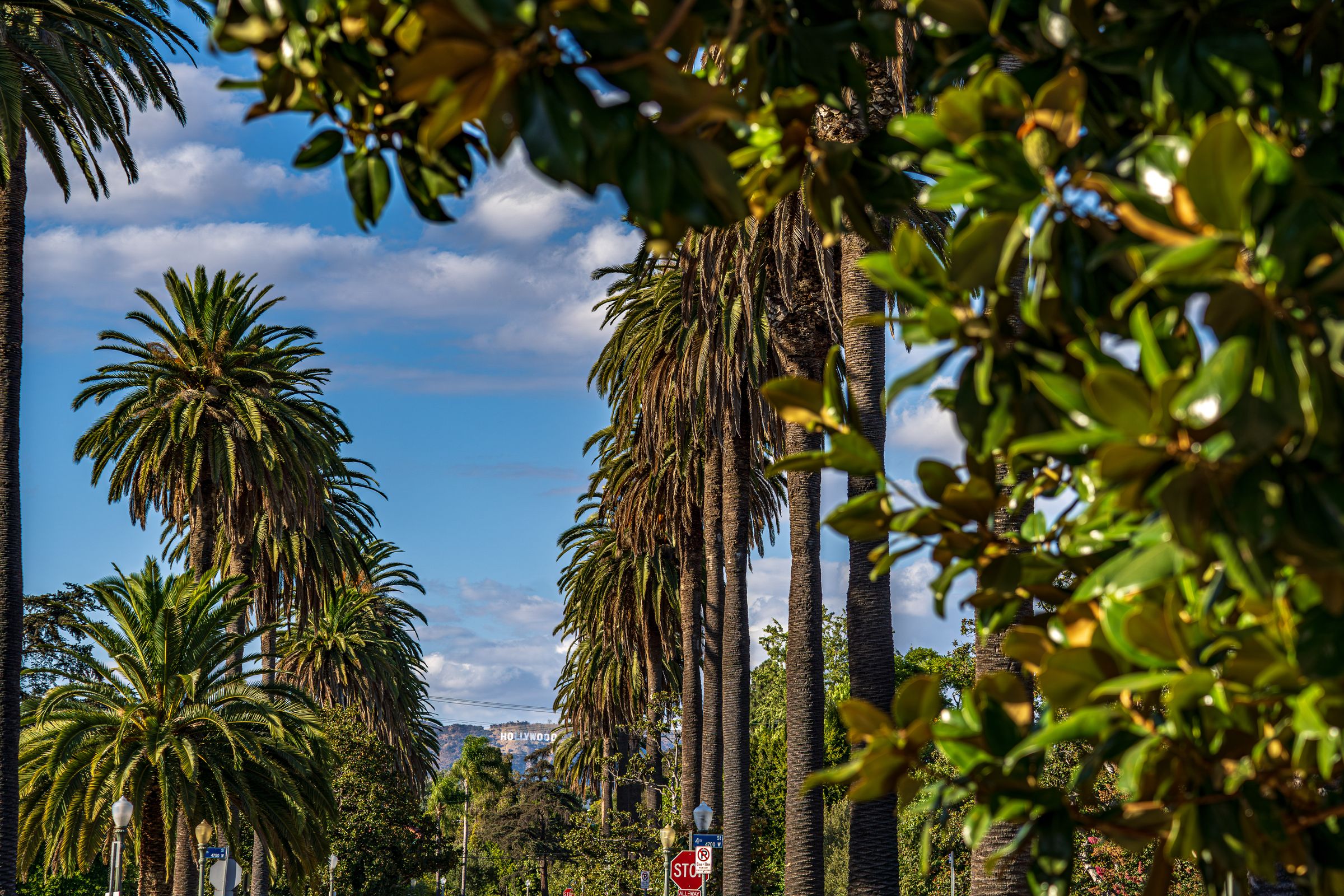 Palm-lined West Hollywood street with the Hollywood Sign beyond